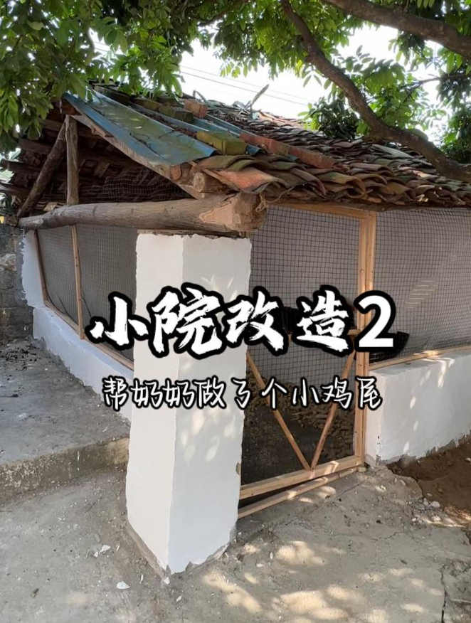把小屋子改造成了漂亮的鸡窝