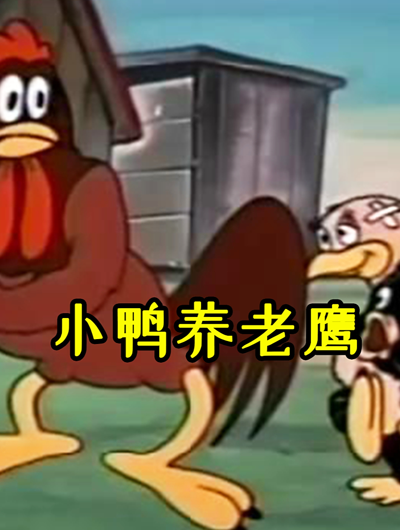搞笑动画小黑鸭养老鹰