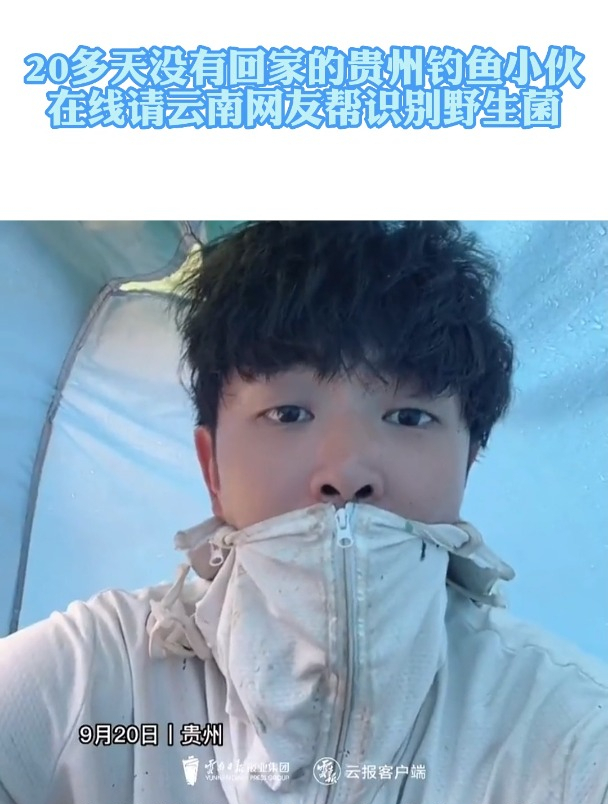 20多天没有回家的贵州钓鱼小伙,在线请云南网友帮识别野生菌
