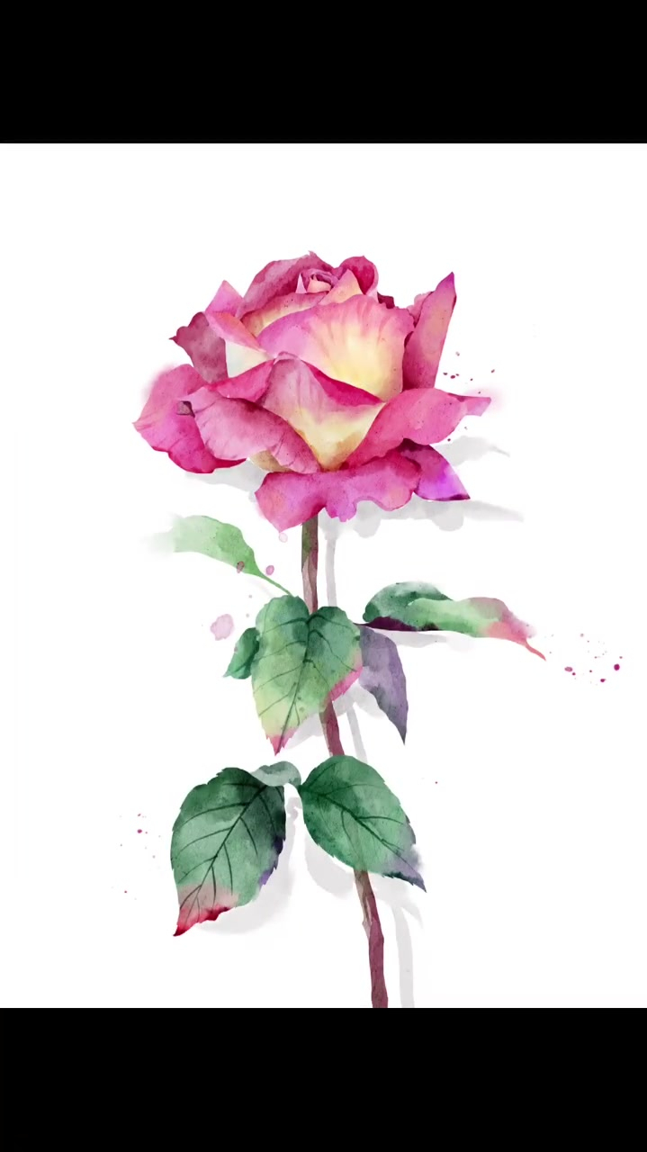 近期画水彩,治愈系水彩画