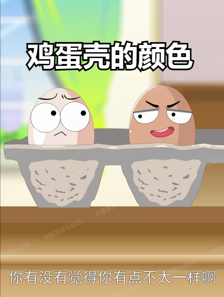 鸡蛋壳的颜色,你知道吗?