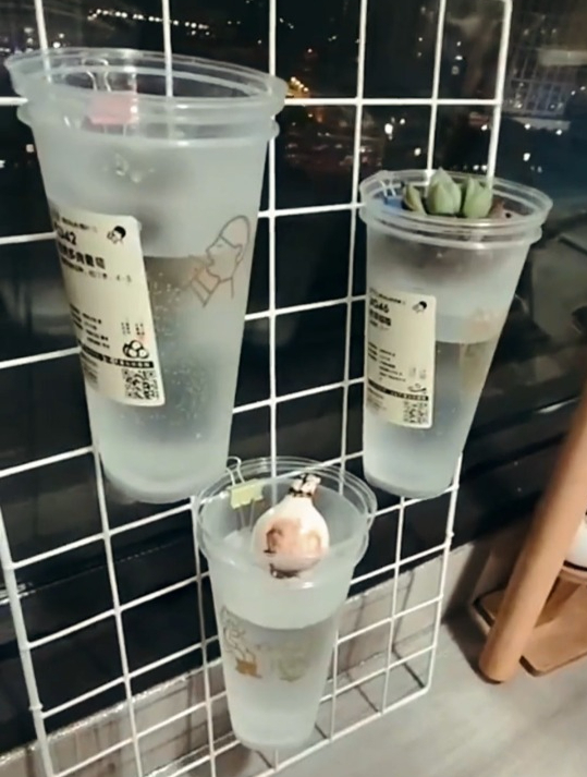 喝完的奶茶杯子,洗干净后有许多妙用