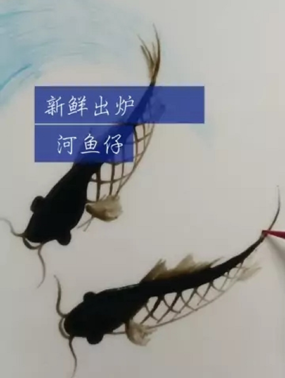 新鲜出炉的河鱼仔