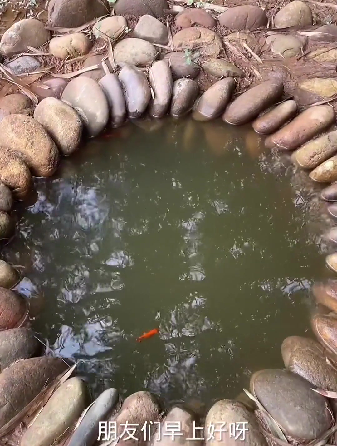 天天钓鱼 钓鱼游戏
