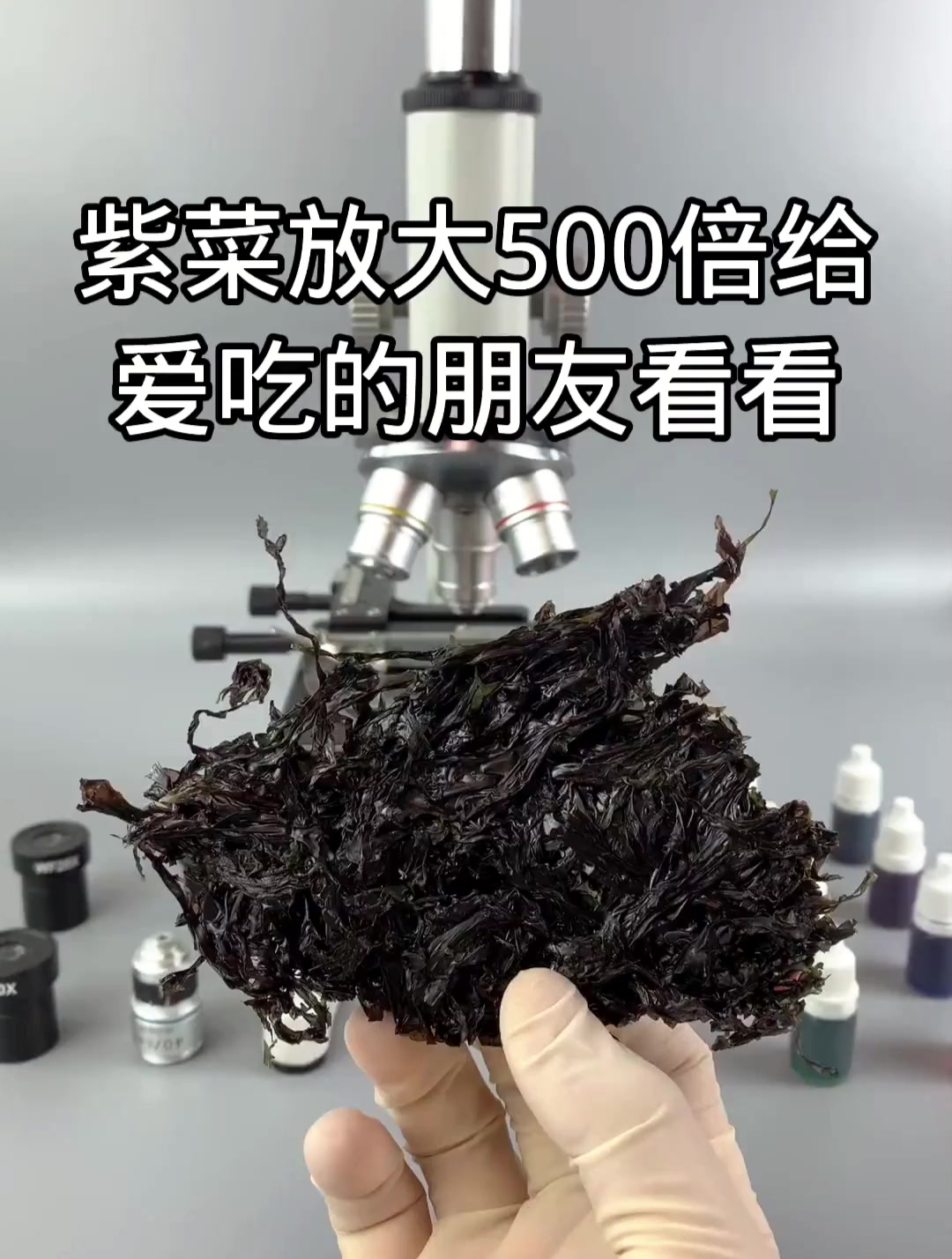 紫菜放大500倍给爱吃的看看