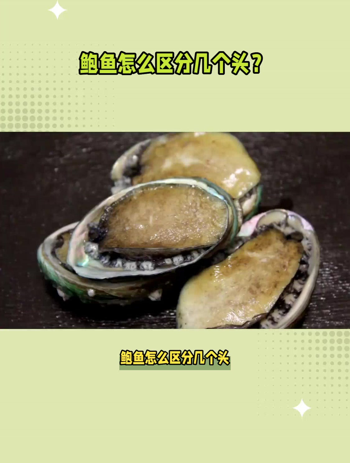 鲍鱼怎么区分几个头?