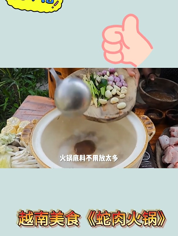 越南美食《蛇肉火锅》3