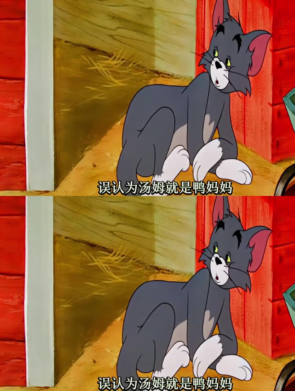 《猫和老鼠》小鸭子误认为汤姆就是她妈妈,结果汤姆准备烤鸭子