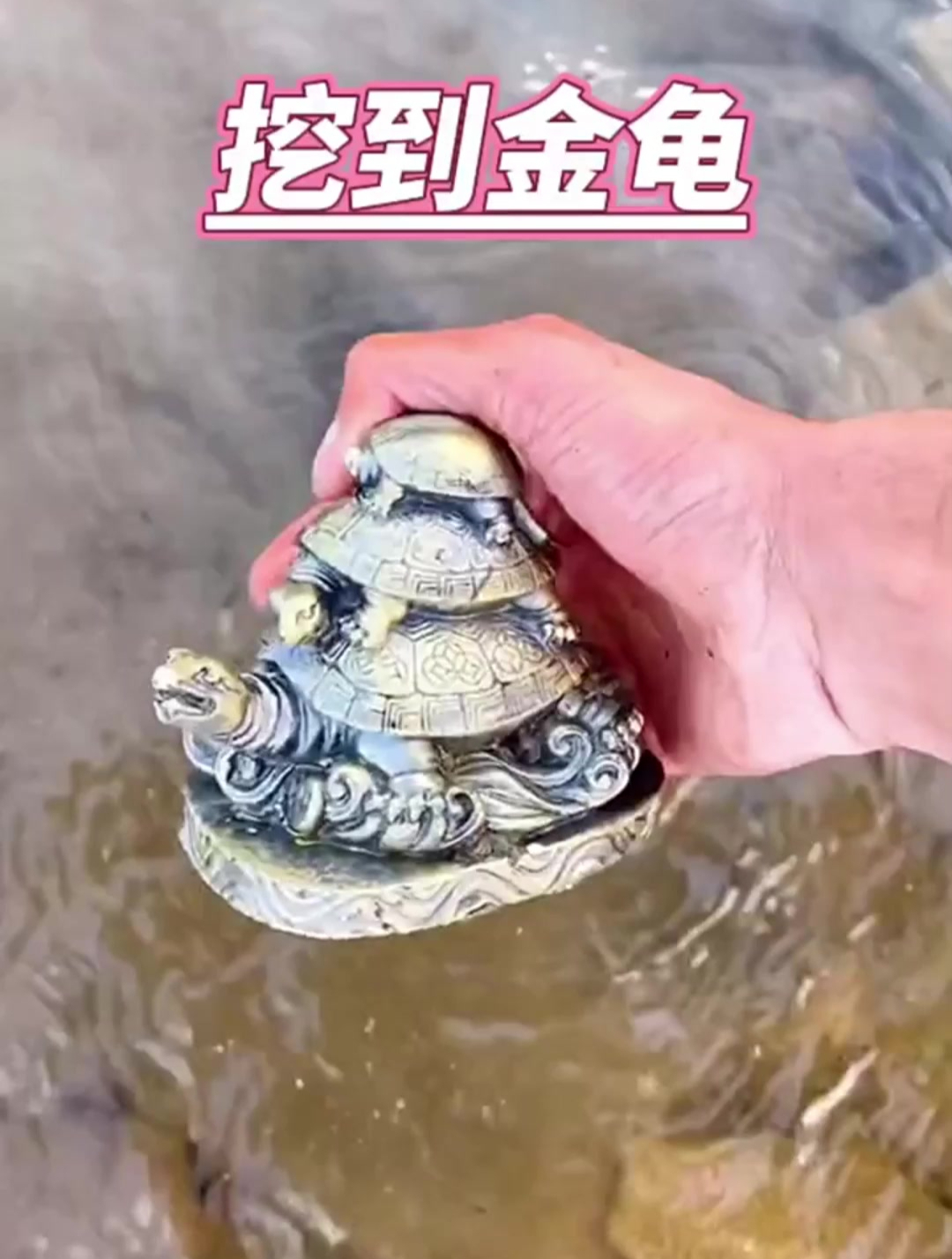 沙滩里竟然挖出金龟,这不比鱼值钱多了,太走运了