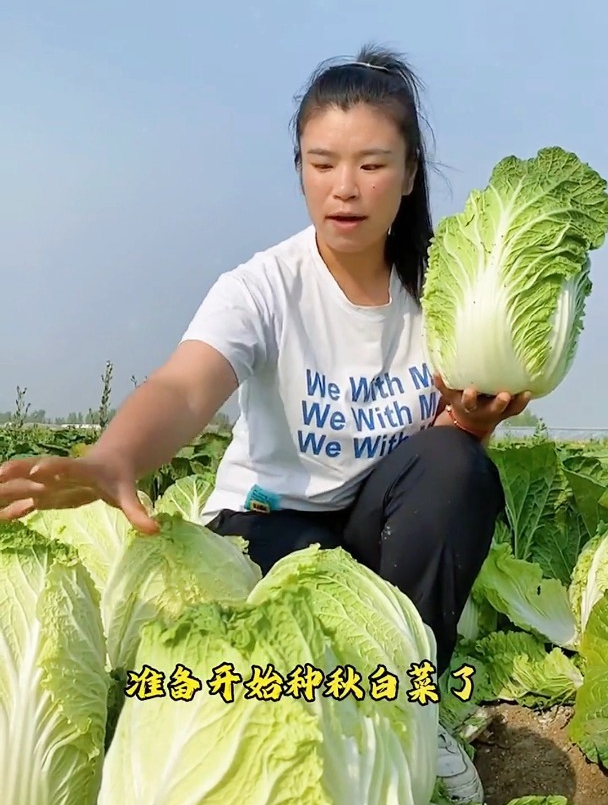 大白菜是黄的好还是绿的好?黄心的大白菜你见过吗?可以生吃的!