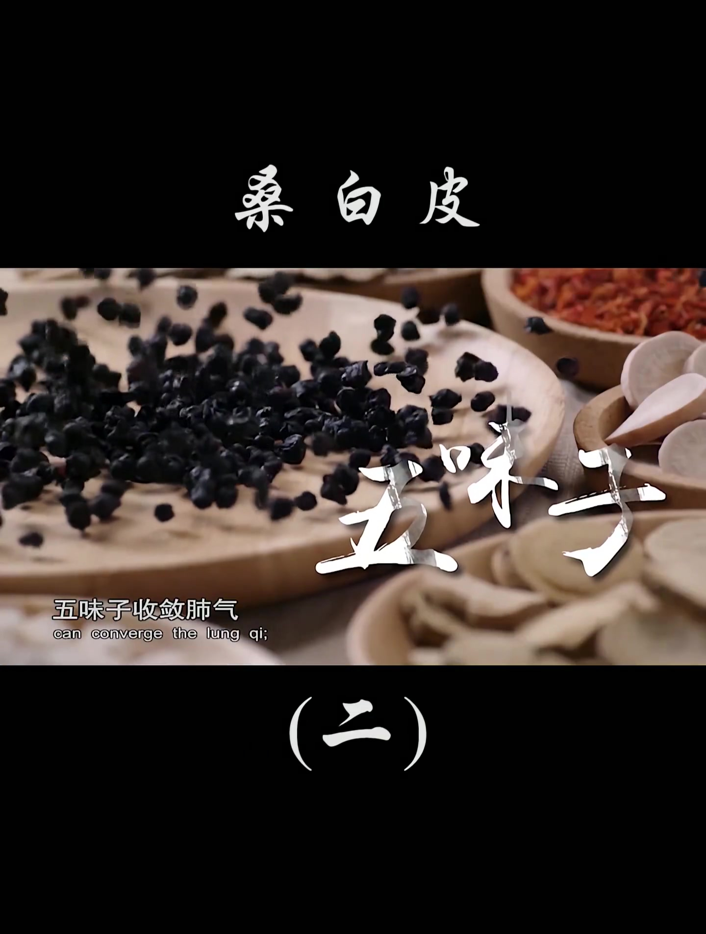 紫菀、桑白皮消痰止咳,降气平喘,此外加入麻黄、桔梗,诸药配伍