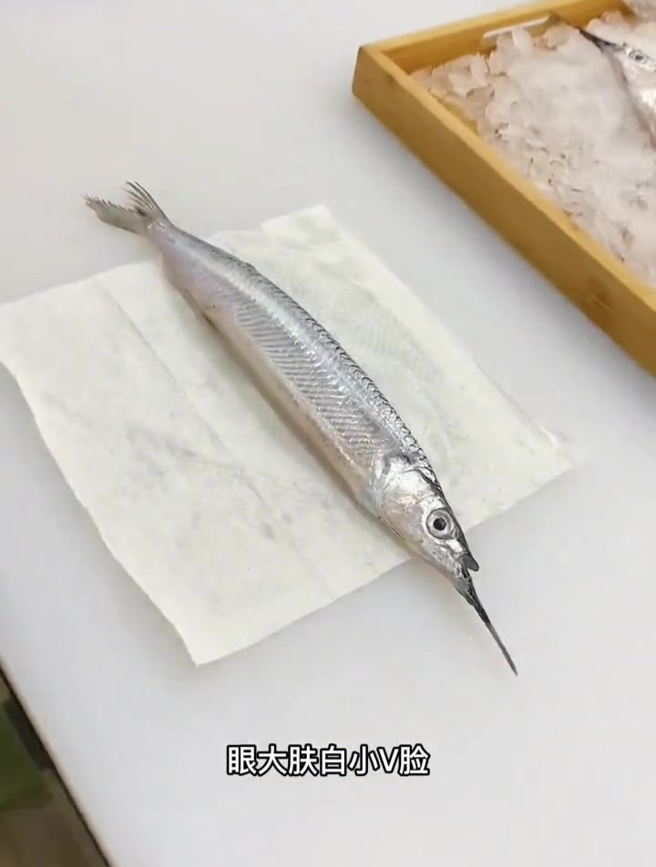 鱵不错 海鲜美食鱵鱼 科普