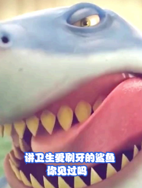 讲卫生爱刷牙的鲨鱼,你见过吗