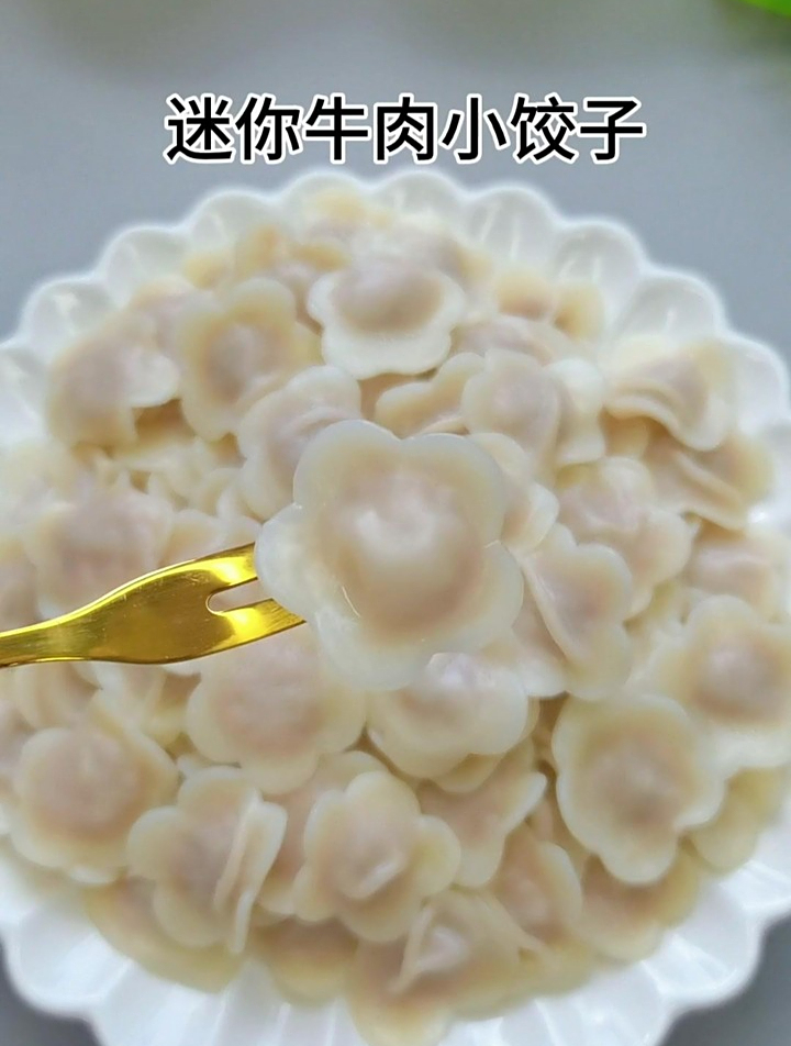 九个月宝宝就可以吃的牛肉小饺子