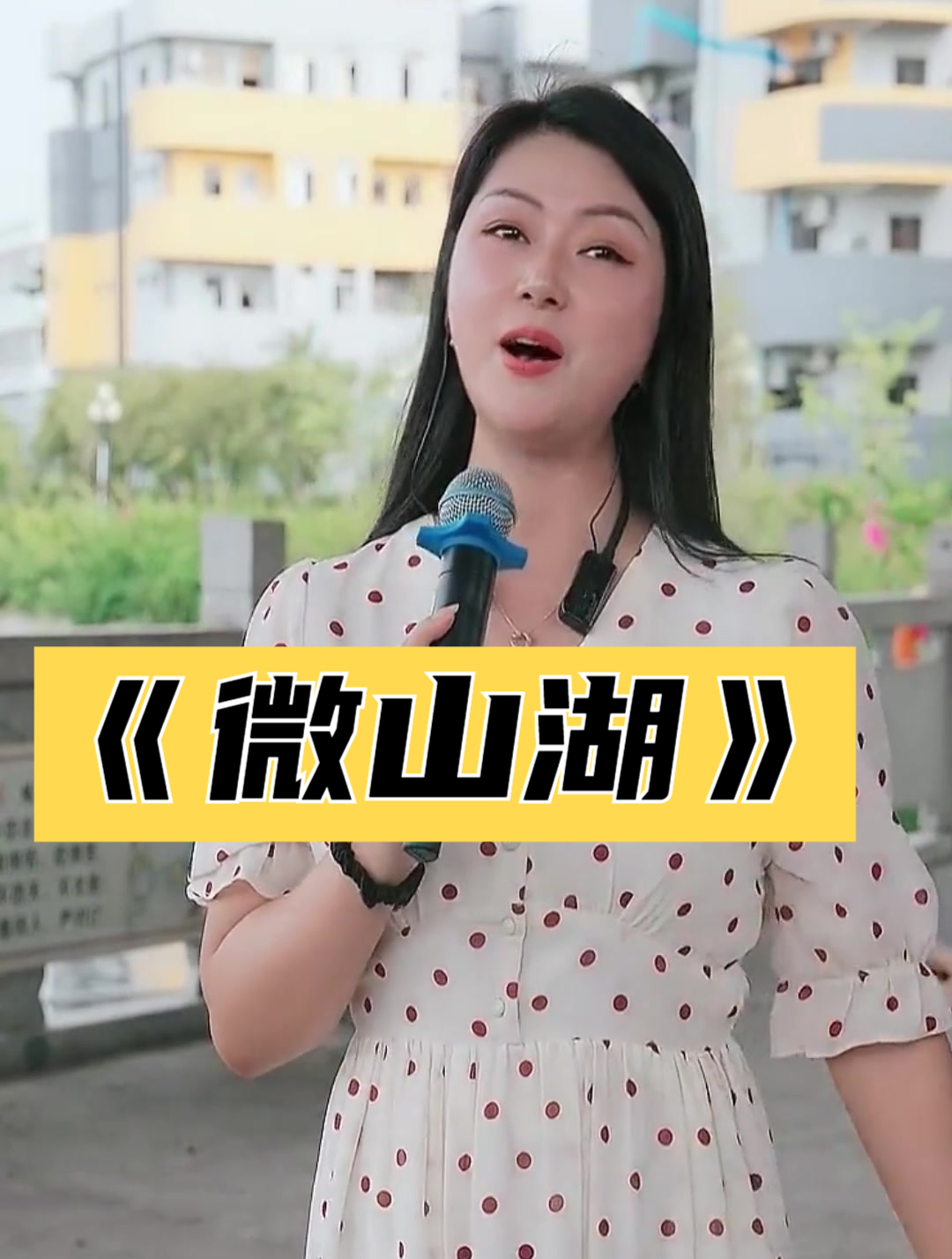 《铁道游击队》的主题曲《微山湖》