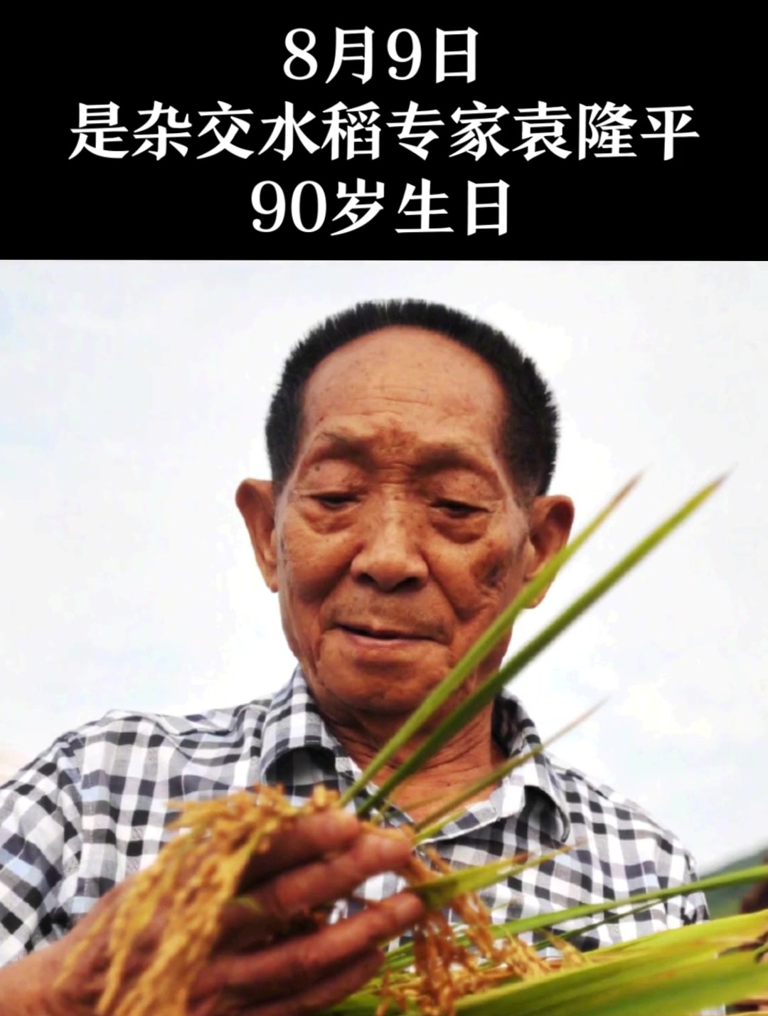 袁隆平90岁生日蛋糕上有把水稻,8个字回望造就的“神话”