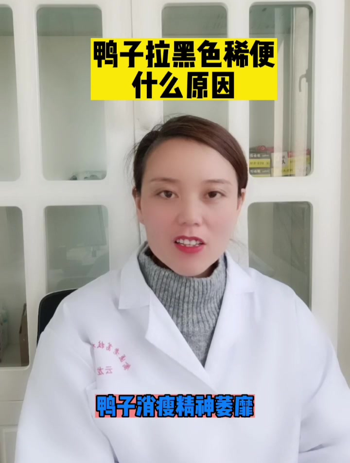 禽医恒艳谈鸭子拉黑色稀便吃什么鸭子拉屎又黑又臭怎么回事