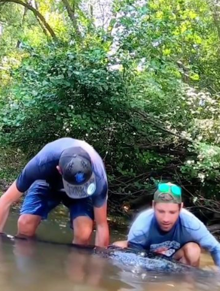 老哥钓获一条欧洲巨型鲶鱼,体长两米多,过程惊险刺激3