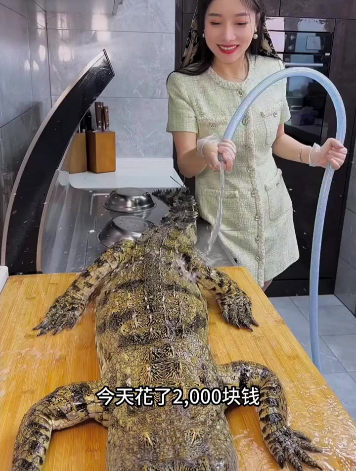 鳄鱼到底哪个部位更好吃呢?我今天买一只人工养殖的鳄鱼来试试