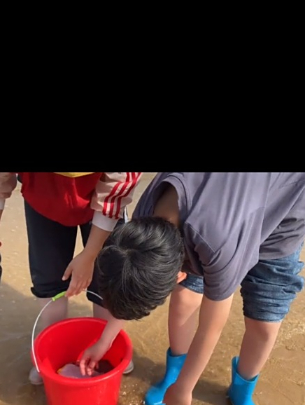 小章带外甥赶海,不小心捅到鲍鱼窝!沙滩上还躺着一只超大比目鱼