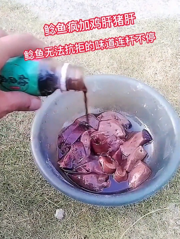 钓鲶鱼用什么饵料?盘点鲶鱼最喜欢的饵料,老钓友推荐