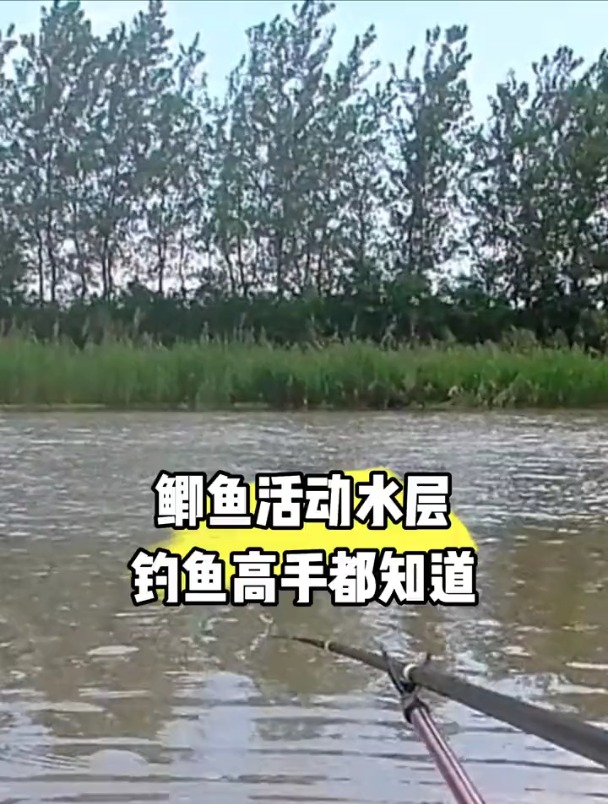 钓鲫鱼如何才能找准水层?不用那么复杂,看准这几个时间段就行!