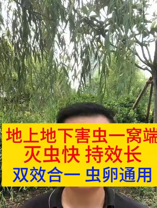 地上地下害虫一窝端,灭虫快,持效长,双效合一 虫卵通用