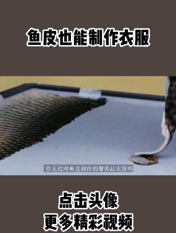 鱼皮也能制作衣服,赫哲族传承千百年的传统技艺,鱼皮衣