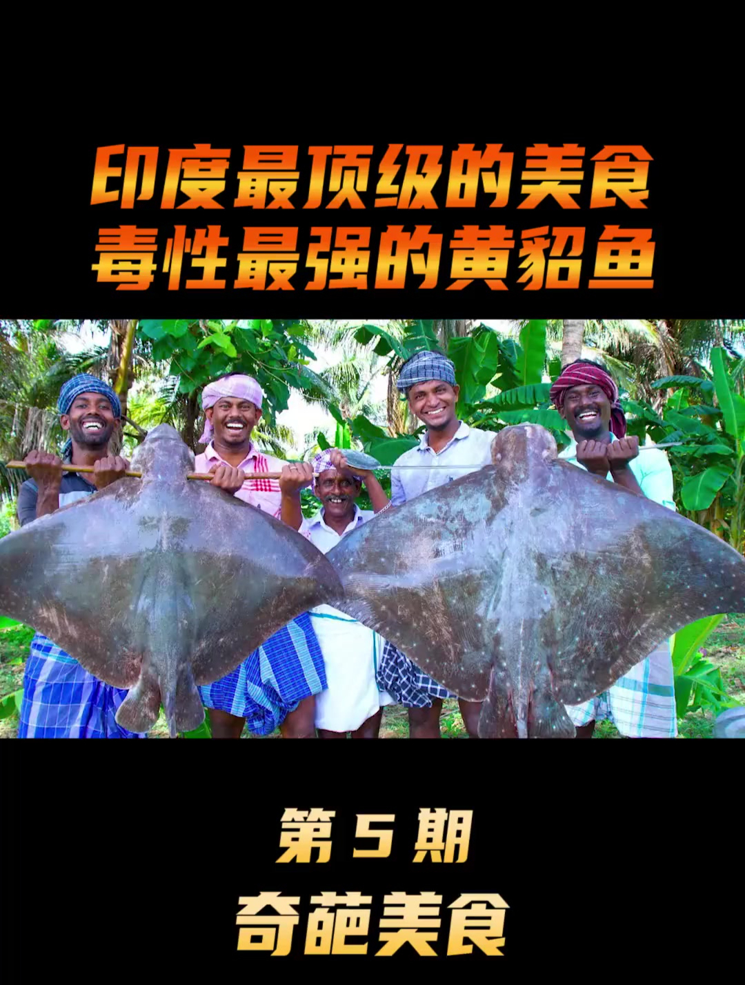 海洋中毒性最强的黄貂鱼 竟成了印度最顶级的美食