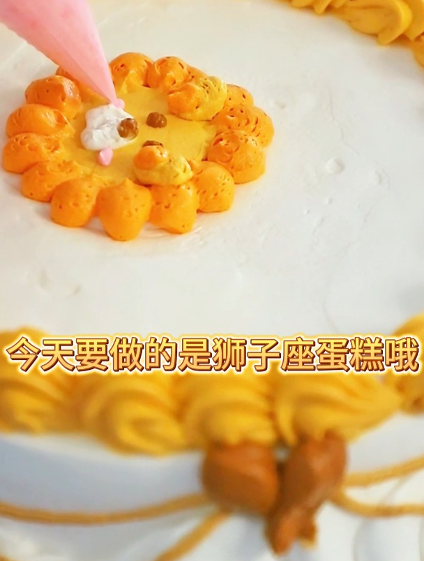 女新生VS男新生,奶油裱狮子座蛋糕