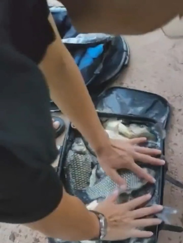 什么钓鱼最有效?氨基酸钓鱼有用吗?这些钓鱼误区别忽略!