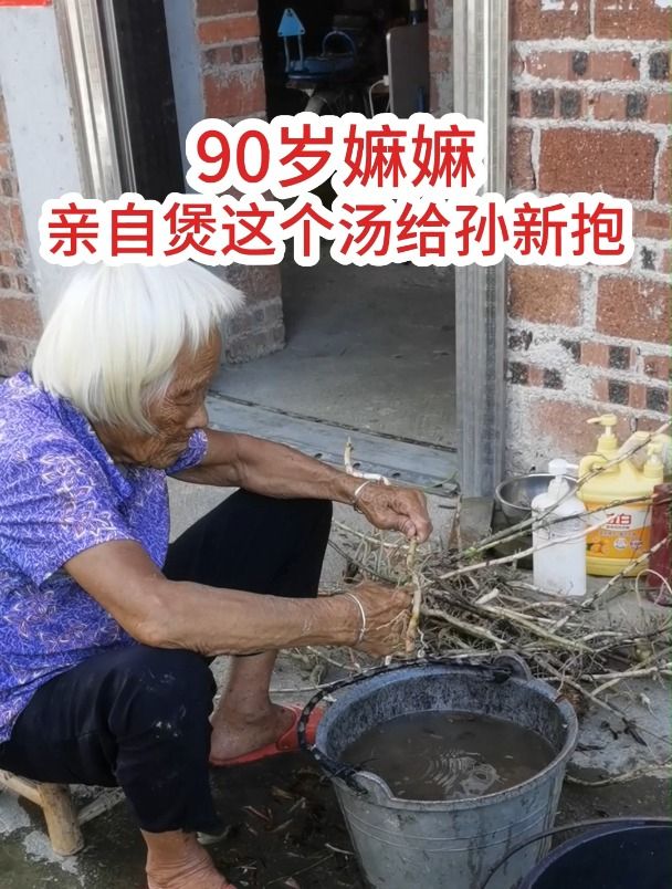90岁的嫲嫲亲自煲春砂仁根老母鸡汤给孙媳妇