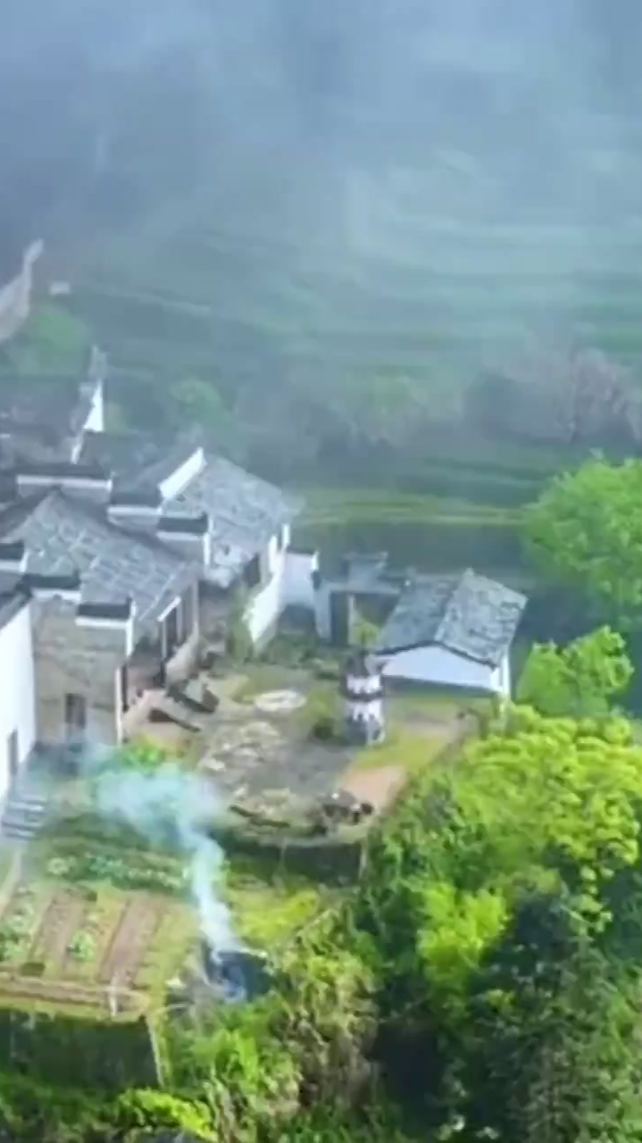 帝国王巢马头岩肉桂,欢迎品尝,马头岩肉桂简介,马头岩肉桂视频,武夷山马头岩肉桂!