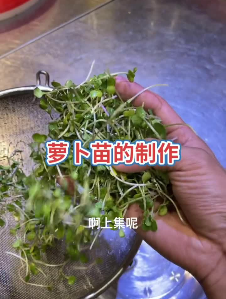 孜然口味的萝卜苗,相信很多人没有吃过,口味极具特色