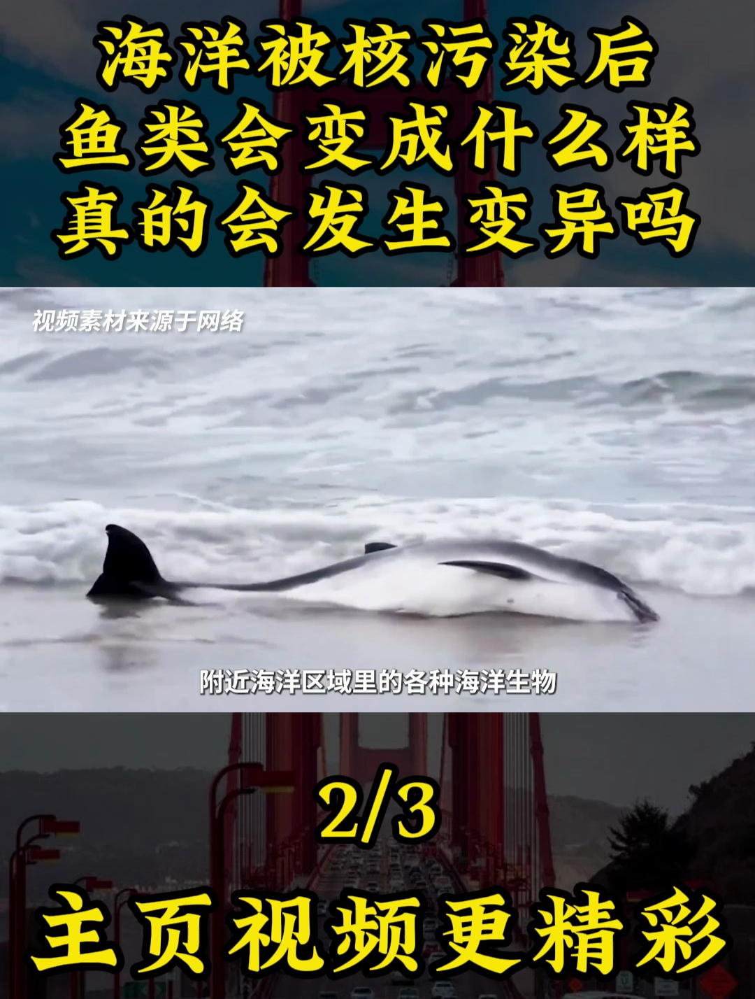 海洋被核污染后,鱼类会变成什么样,真的会发生变异吗