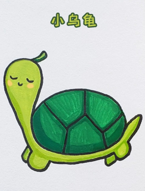 乌龟 简笔画,儿童学画画,幼儿启蒙画画