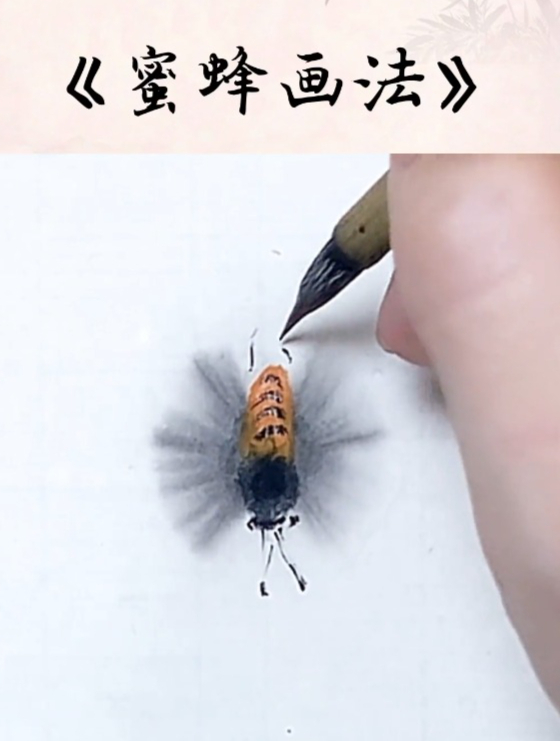 零基础学国画:简单易学的《蜜蜂画法》,你学会了吗?