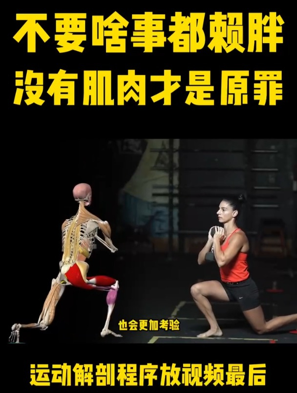 腿部肌肉如何强化?