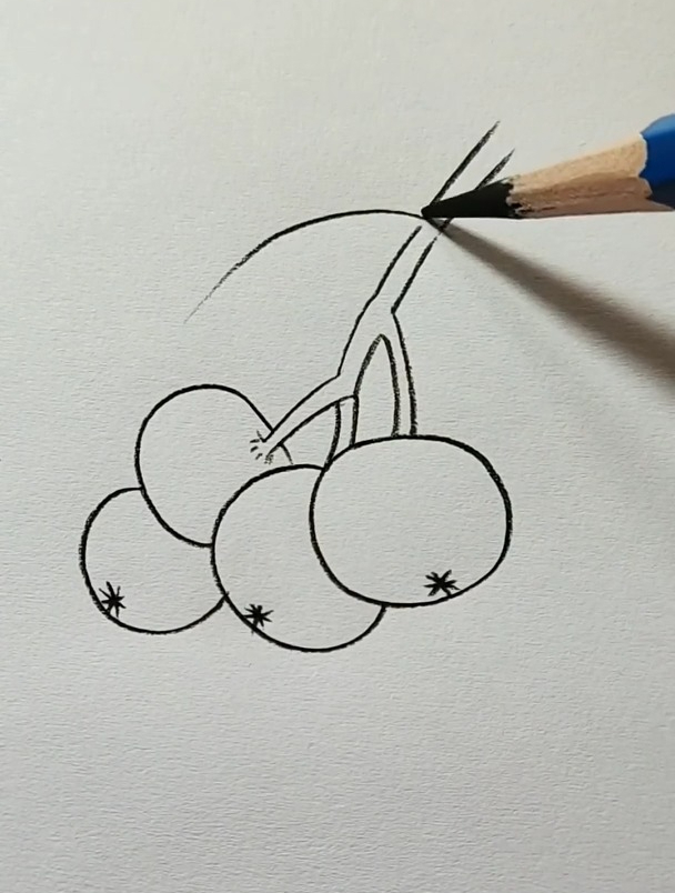 简笔画枇杷,喜欢植物篇可收藏