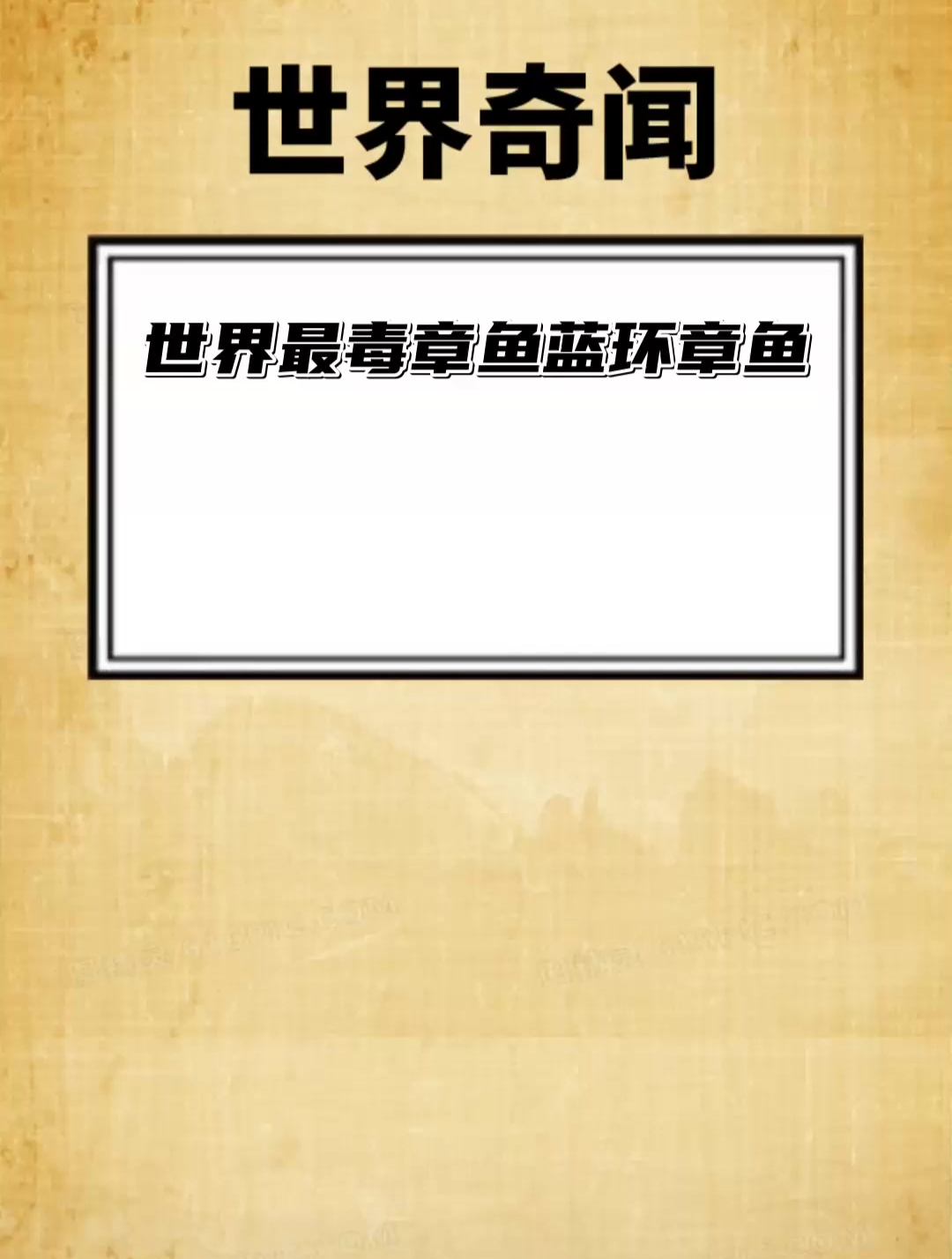 世界最毒章鱼 蓝环章鱼