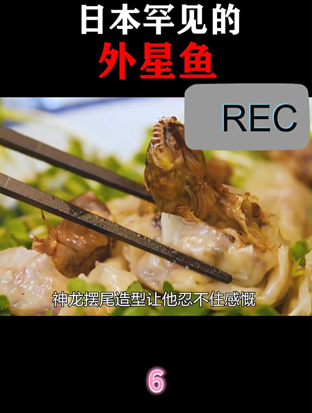日本罕见的外星鱼6