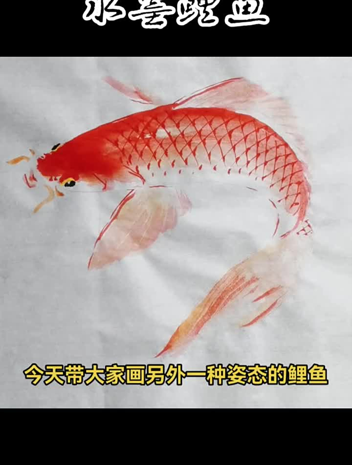写意花鸟水墨写意水墨鲤鱼水墨鱼国画鲤鱼国画鱼