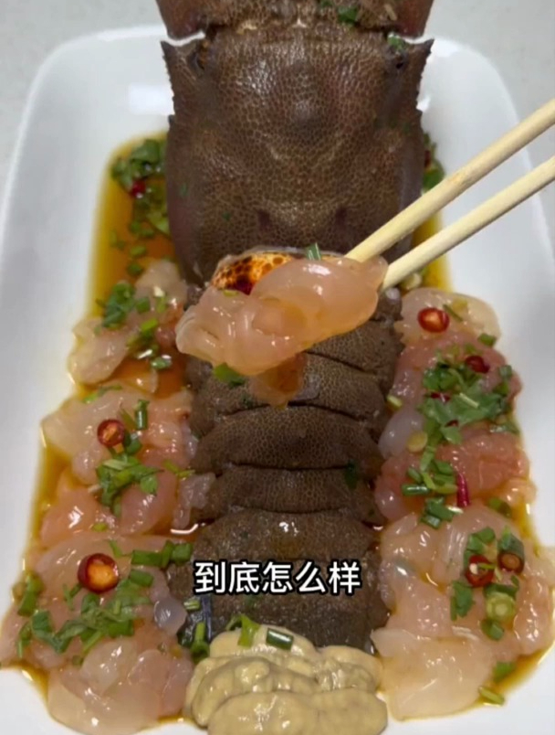 澳龙不如犀牛虾,折腾起来还得它
