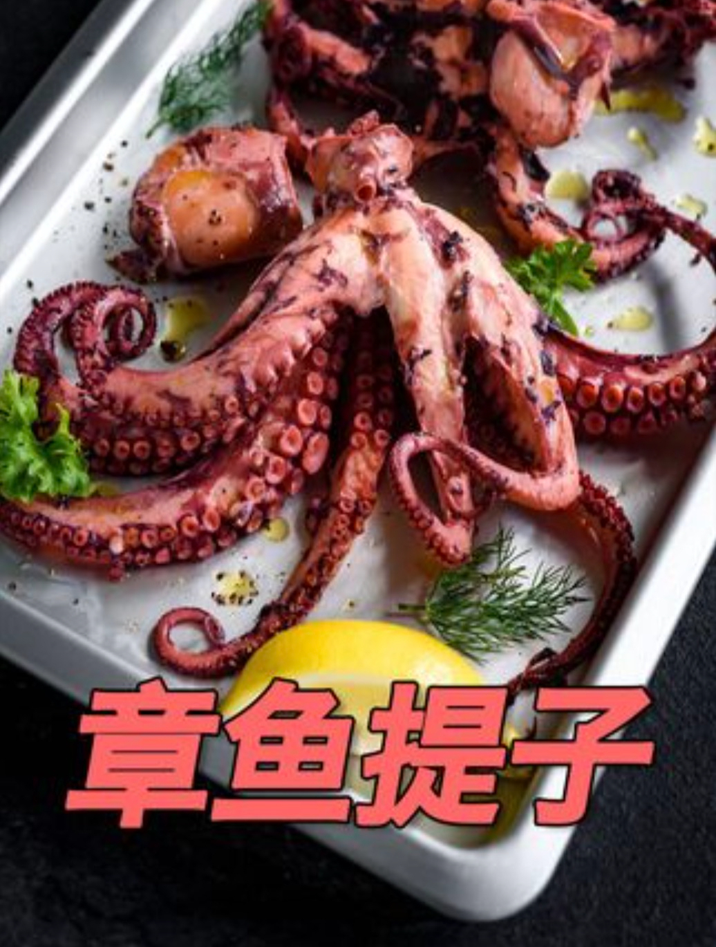 章鱼妈妈用塑料管当作产房,生下一串串提子,被各种动物偷吃