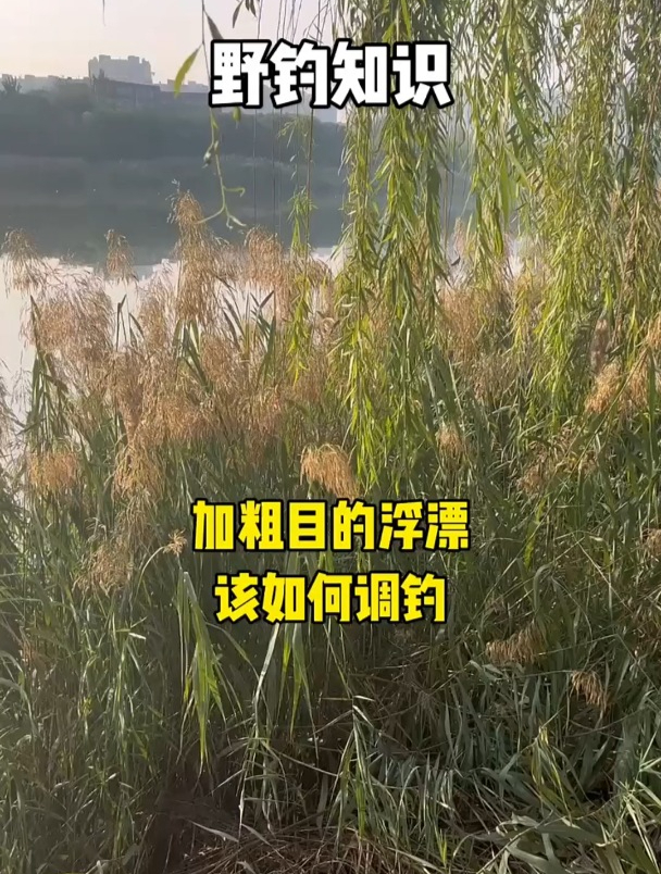 提竿总锚鱼,加粗目的浮漂该如何调钓?原因多半就在这!