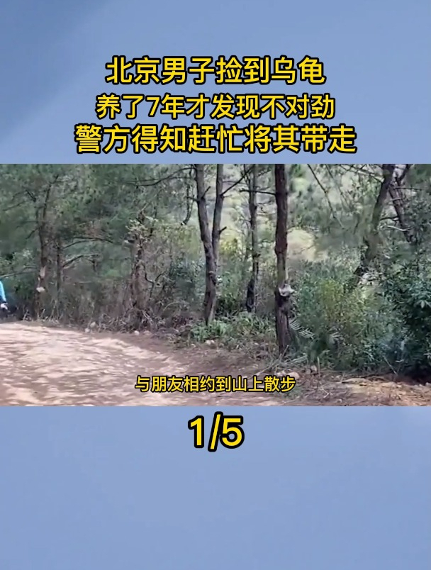 北京男子捡到乌龟,养了7年才发现不对劲,警方得知赶忙将其带走
