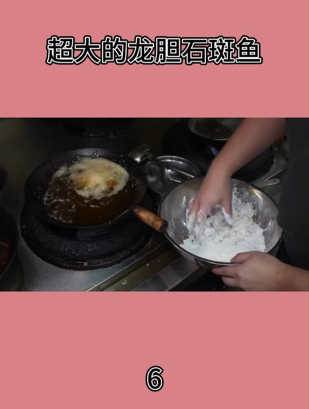 超大的龙胆石斑鱼6