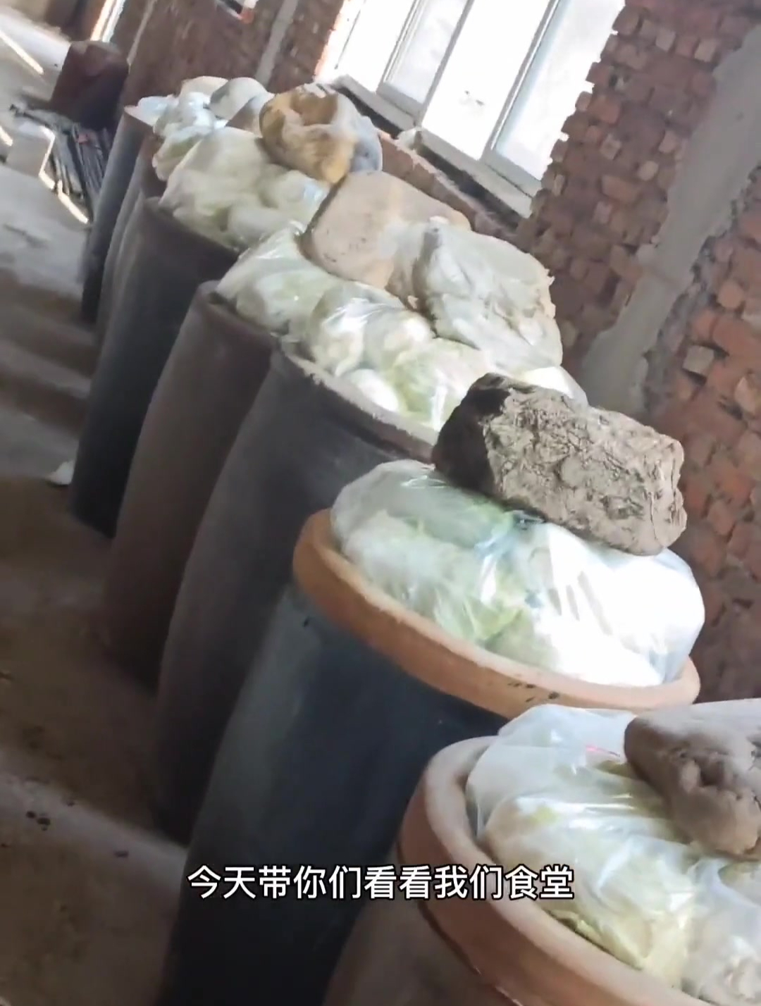 积酸菜 东北酸菜腌制方法