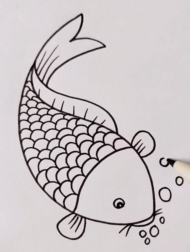 用字母S画大鲤鱼,快来试试吧