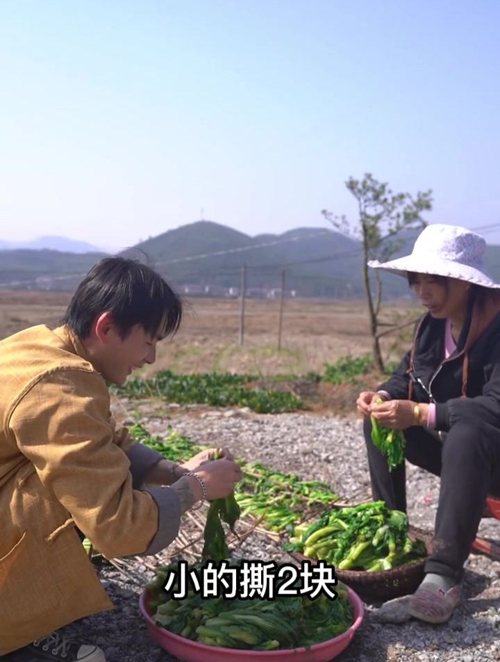 白菜苔不要在清炒了,不妨试试腌制成酸白菜苔和干白菜苔更好吃